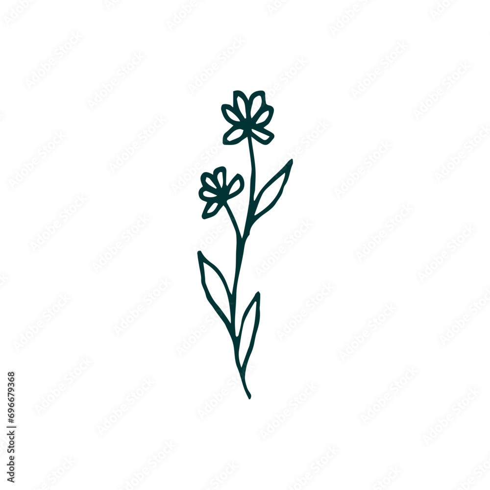 plant set with green color foliage plant set with green color foliage