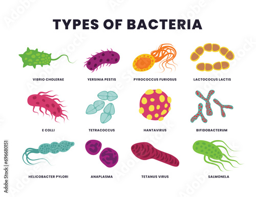 Set of different types of bacteria, Bacteria and virus microbes icons, Color germs, biology microorganism types. Illness or disease microscopic cells and infection, Pathogenic bacteria. photo