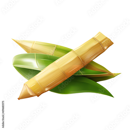 Natural and fresh Lucky bamboo isolated on transparent background 
