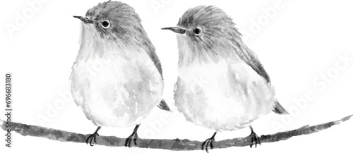つがいのメジロの水墨画　墨絵