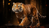 tiger in the sun HD 8K wallpaper Stock Photographic Image 