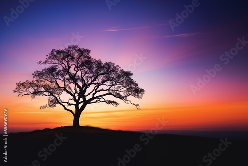 silhouette of tree © Iranga