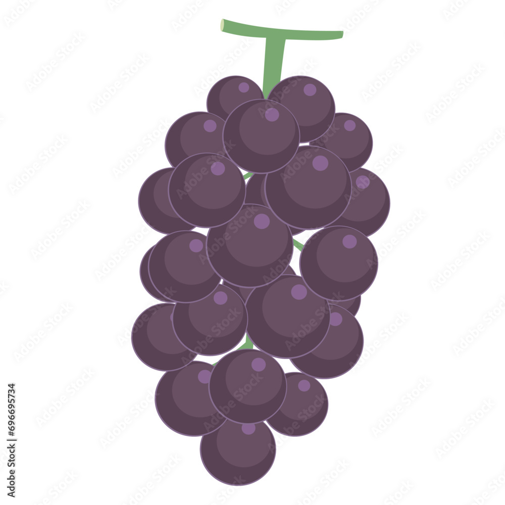 Fototapeta premium 巨峰のイラスト カラー 線なし