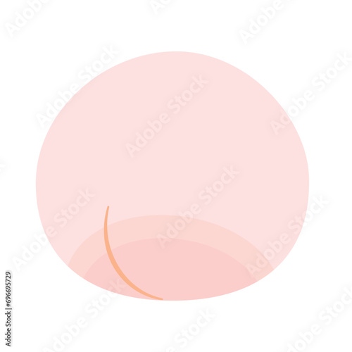 桃のイラスト カラー 線なし