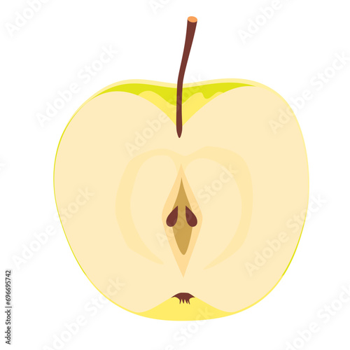 縦半分に切られた青りんごの断面のイラスト カラー 線なし