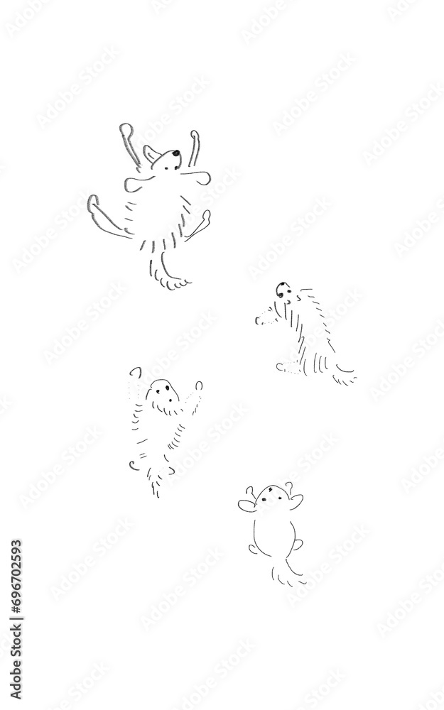 可愛すぎる犬　ハッピーで弾けている犬の様子