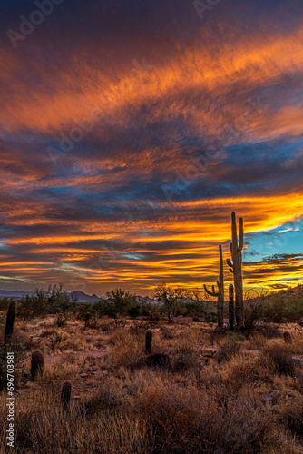 Sunset in the Sonoran Desert in Arizona              