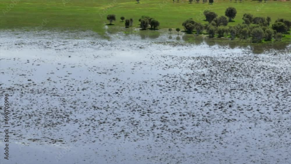 Long focal length tilt up over wetlands as drone trucks sideways. Long focal length tilt up over wetlands as drone trucks sideways.