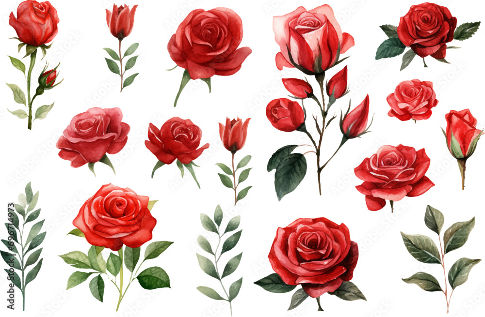 set of red roses