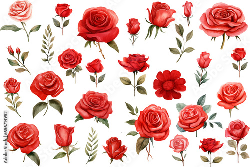 seamless pattern with roses © asadul