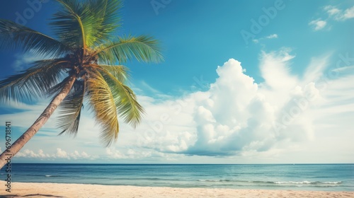 Palm tree on tropical beach with blue sky