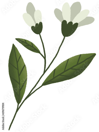White Lily Flower Pastel With Textured Graphic Element