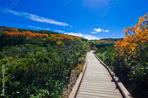 Beautiful autumn colors at Mt. Asahidake, Daisetsuzan national park, Hokkaido, Japan.  photo