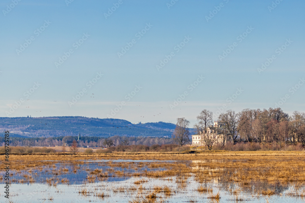 Old castle at the lakeshore by a wetland at springtime