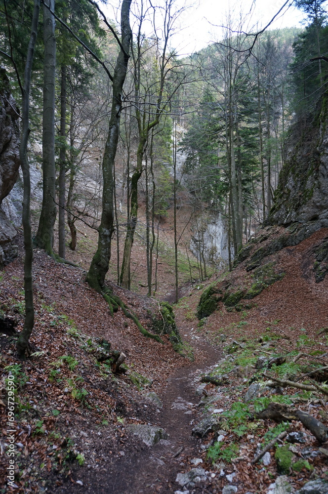 Small idyllic hiking trail in the forest: steep and rocky path near Krummbachstein in Lower Austria