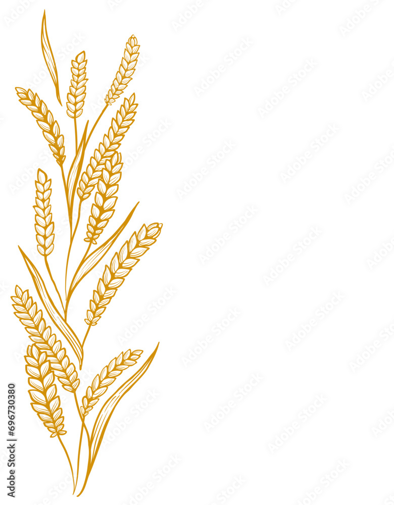 Wheat ears. Hand drawn vector sketch. Place for text. Copy space. Wheat ears. Hand drawn vector sketch. Place for text. Copy space.