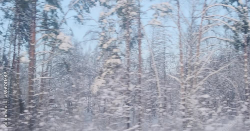 Through the train window, a vast expanse of snow-covered woods stretches to the horizon. Through the train window, a vast expanse of snow-covered woods stretches to the horizon.
