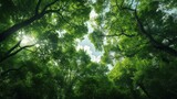 Green leaves in summer. Lush and bright panorama