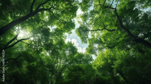 Green leaves in summer. Lush and bright panorama