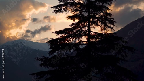 4K shot of Pine tree in front of snow covered Himalayan mountains during the sunset at Manali in Himachal Pradesh, India. Tree in front of snowy mountains during the winter season in Himachal. photo