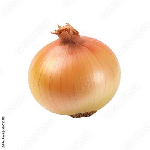 Onion clip art