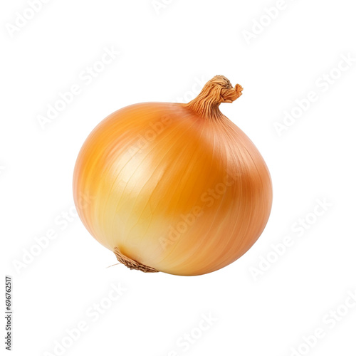 Onion clip art