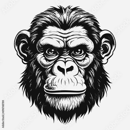 monkey vector logo simple realistic nature primate africa gorilla marmoset chimpanzee art drawing illustration wild animal 