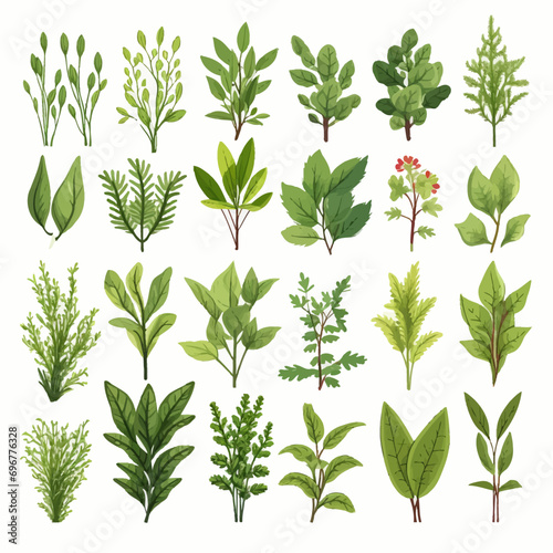 Wallpaper Mural leaf, plant, pattern, nature, vector, flower, seamless, floral, tree, illustration, design, spring, branch, decoration, herb, leaves, foliage, summer, art, plants, herbs, set, growth, decor, wallpaper Torontodigital.ca