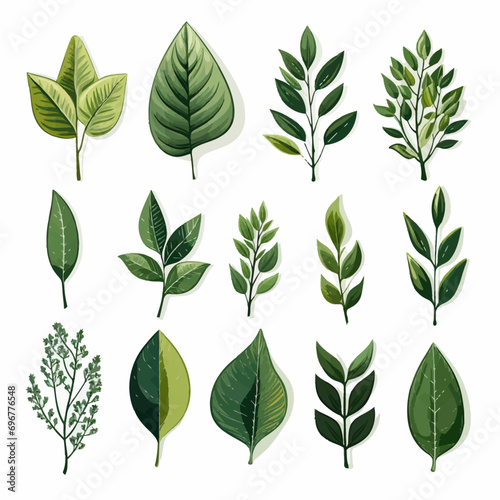 leaf  plant  nature  vector  tree  set  pattern  illustration  design  icon  leaves  spring  floral  eco  foliage  decoration  summer  branch  flower  natural  art  environment  symbol  seamless  coll