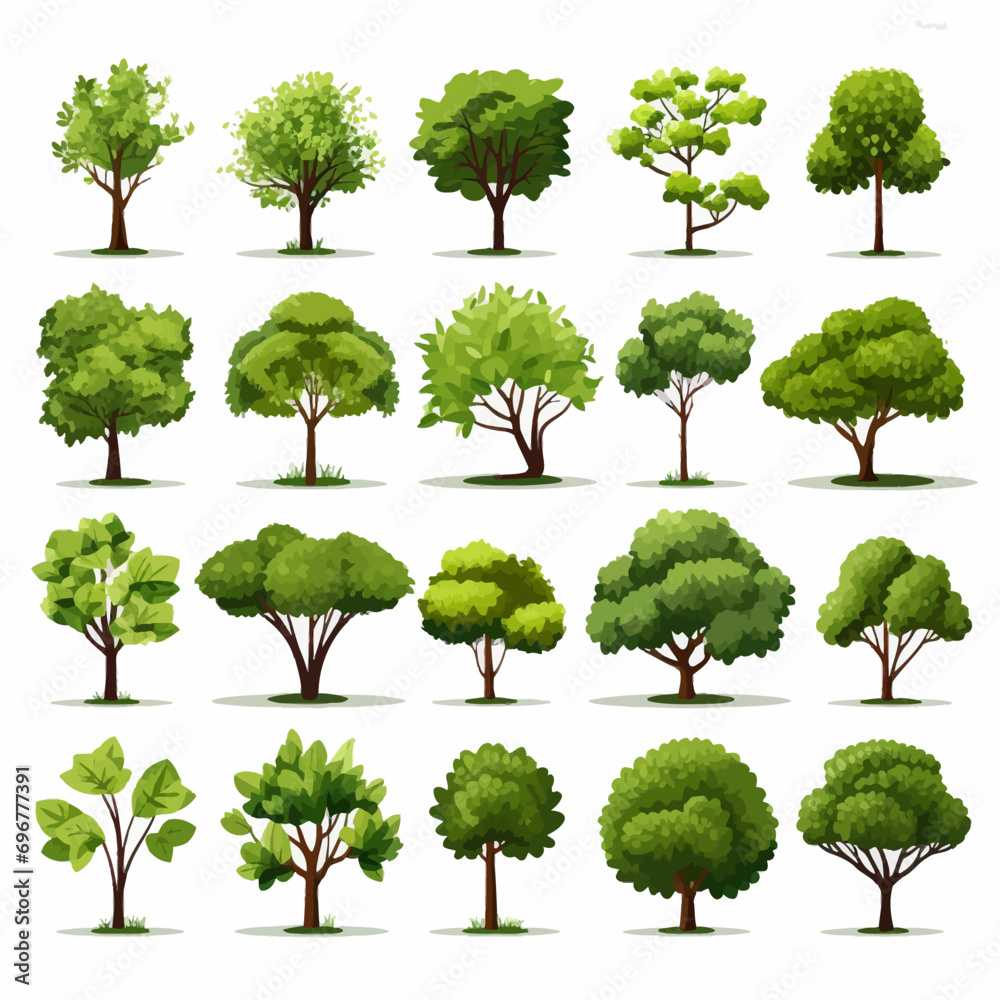 Fototapeta premium tree, nature, leaf, plant, forest, branch, oak, summer, vector, environment, trees, foliage, spring, illustration, grass, leaves, isolated, set, eco, wood, collection, garden, landscape, growth, big