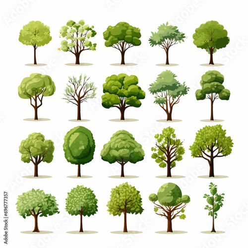 tree, nature, leaf, plant, forest, branch, oak, summer, vector, environment, trees, foliage, spring, illustration, grass, leaves, isolated, set, eco, wood, collection, garden, landscape, growth, big
