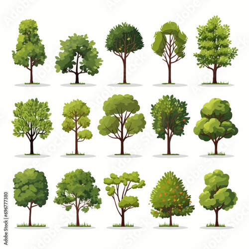 tree, nature, leaf, plant, forest, branch, oak, summer, vector, environment, trees, foliage, spring, illustration, grass, leaves, isolated, set, eco, wood, collection, garden, landscape, growth, big