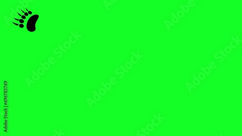 Animation of bear footprints on green screen. Feet with sharp nails. Footprints of wild beasts appeared one after another.
