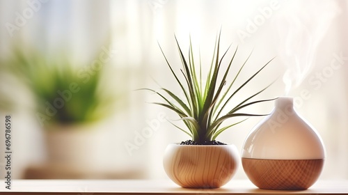 close up of reed diffuser and house plant aloe vera on wooden table in bright living room with scandinavian interior : Generative AI photo