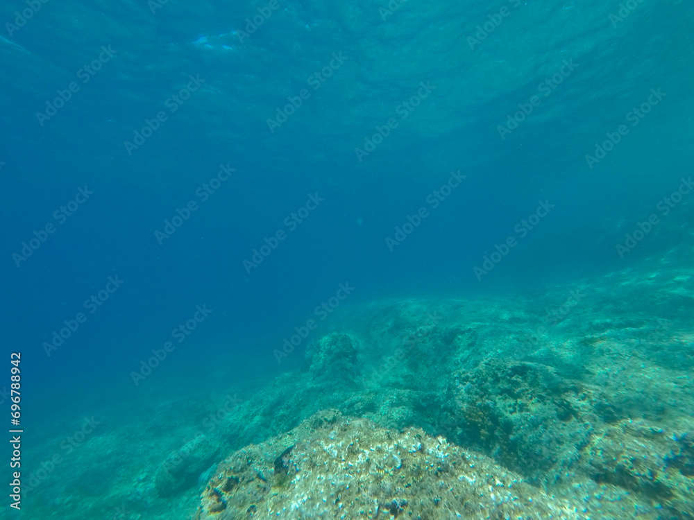 Underwater sealife in Croatia