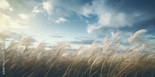 artistic interpretation of long grass blowing in wind against a sky with interesting cloud formations   Generative AI
