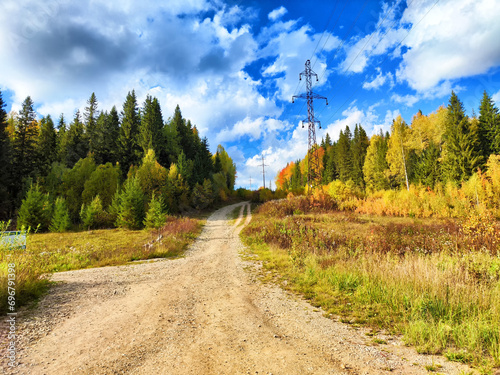 A dry old road with ruts in the forest. The natural landscape and the road to deforestation. Ecology  environment  pollution