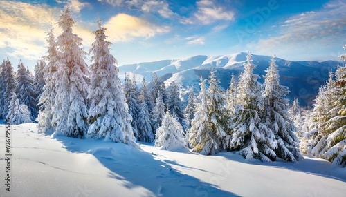 bright morning scene of mountain valley fir trees covered by fresh snow in carpathian mountains ukraine europe stunning winter view of woodland christmas postcard © Bryson