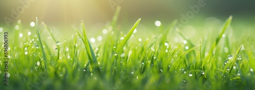 Background banner format of fresh with water dew drops on grass field and sun light.
