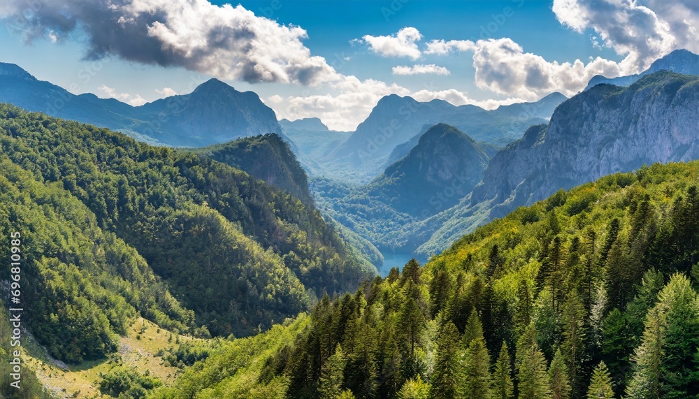 forest and mountains in national park piva in montenegro highs - obrazy, fototapety, plakaty 