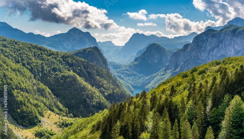 forest and mountains in national park piva in montenegro highs photo