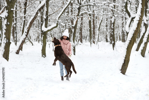 Woman playing with adorable Labrador Retriever dog in snowy park