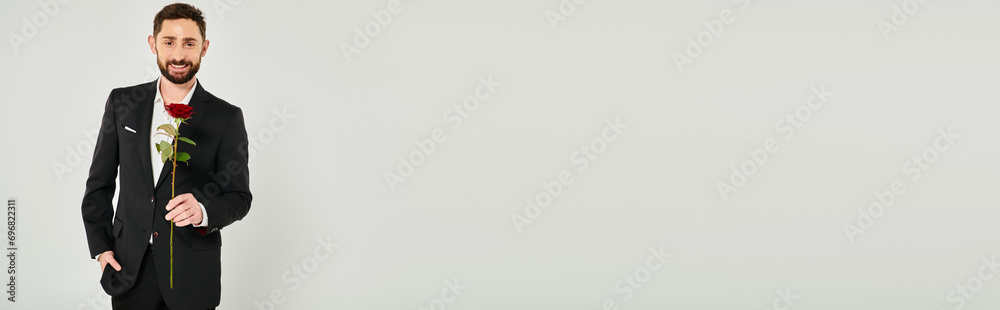 joyful bearded man in black elegant suit holding red rose and looking at camera on grey, banner joyful bearded man in black elegant suit holding red rose and looking at camera on grey, banner