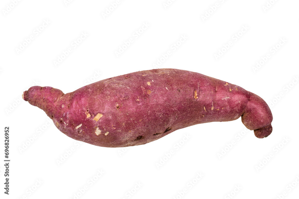 One purple sweet potato. Transparent background