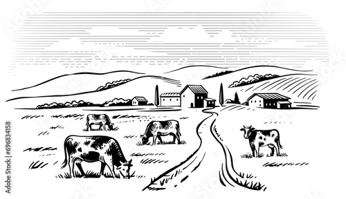 Village cows sketch. Rural landscape countryside.