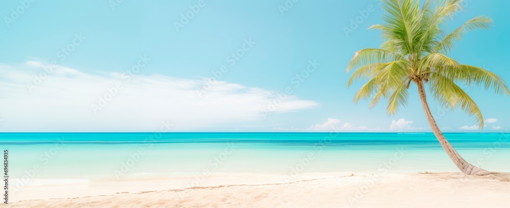 tropical beach and palm tree on clear blue sea horizontal background. travel, tourism and vacation concept, large copy space for text, add, card or wallpaper