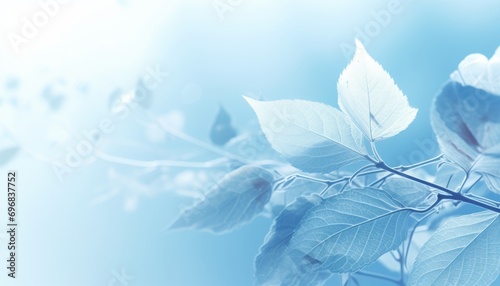 Ethereal botanical masterpiece delicate white skeleton leaf on blue backdrop with enchanting bokeh