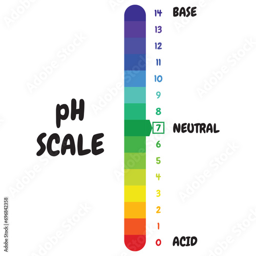 pH value scale chart for acid and alkaline solutions, acid-base balance infographic, vector illustration.  酸性およびアルカリ性溶液のpH値スケールチャート