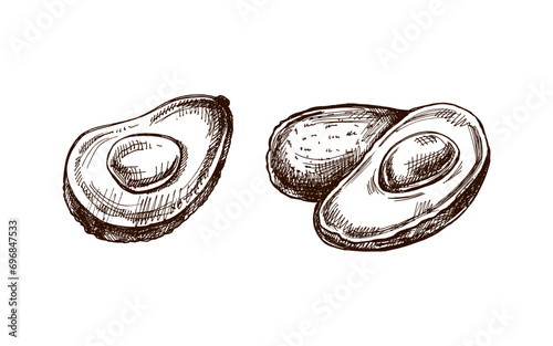 Hand-drawn avocado sketches set. Vintage drawing of ripe avocados. Vector black ink outline food illustration. Mexican food, cuisine, Latin America. Illustration for the menu.