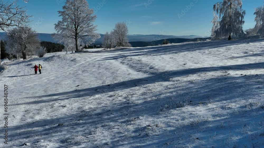 Winter Trees Alpine Landscape Early Morning Sunrise Holiday Travel And Tourism Frosty Tree Tops Vibrant Colors Aerial 4k Cinematic Winter Trees Alpine Landscape Early Morning Sunrise Holiday Travel And Tourism Frosty Tree Tops Vibrant Colors Aerial 4k Cinematic